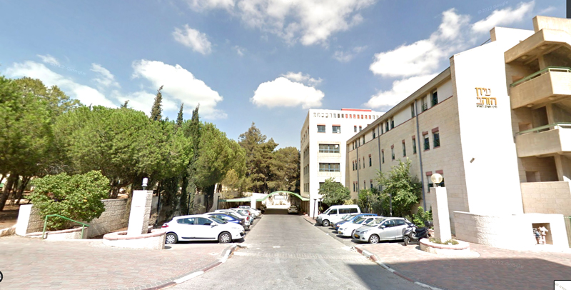 בית-אבות-בירושלים-עידן-הזהב--שושנים-ייעוץ-והכוונה-לגיל-השלישי